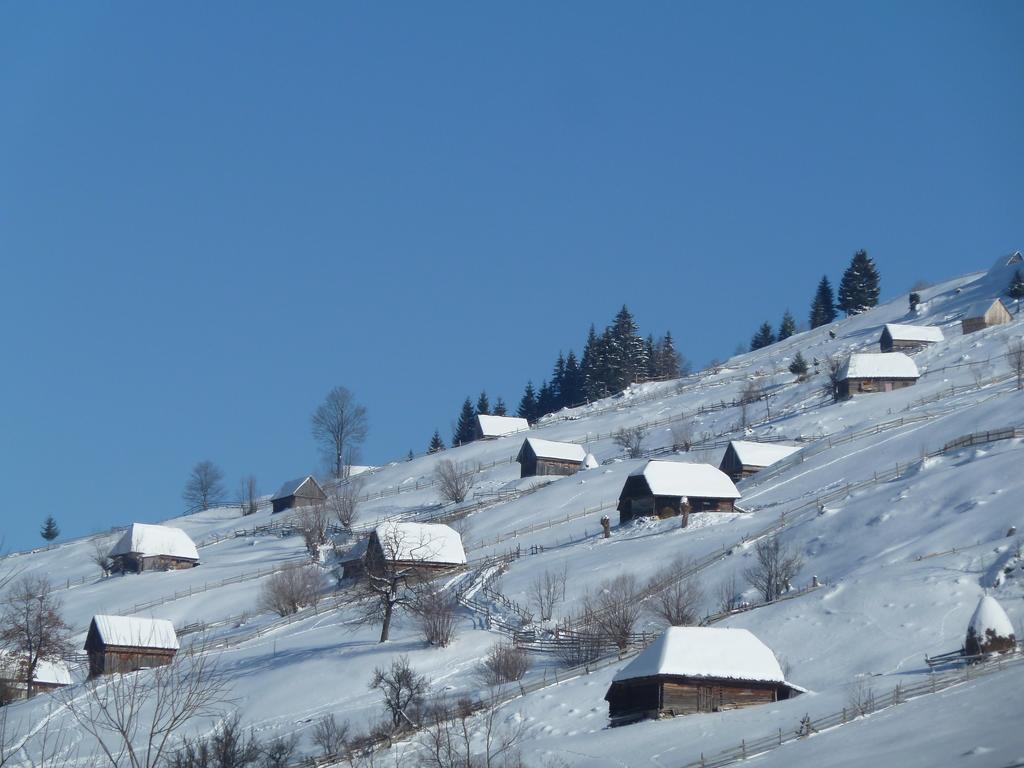 Ranger Chalet Моечу де Жос Стая снимка